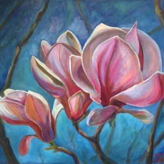 Magnolia