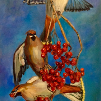 Pestvogels