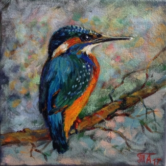 Ijsvogel